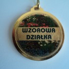 medal-2