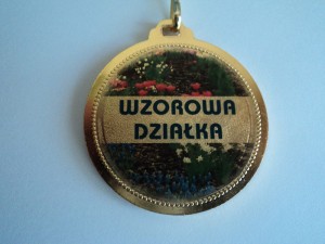 medal-2